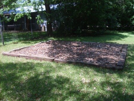 Garden Growing Our Own Food